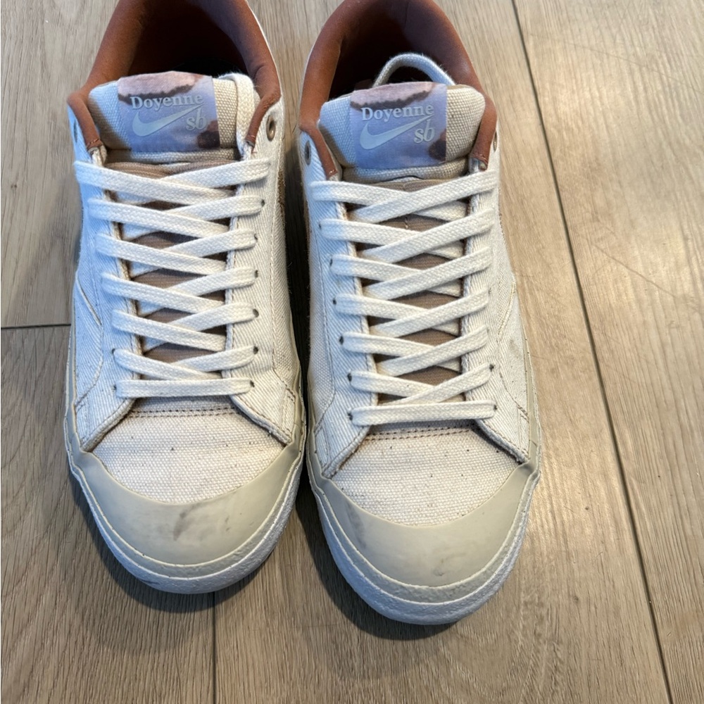 Nike SB low top shoe